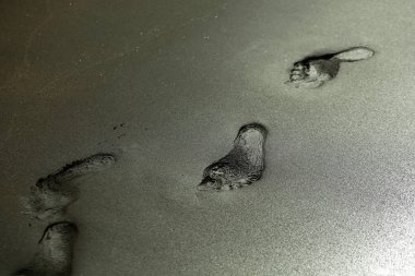 Yetişkin insan ayak izleri veya gri kum plajındaki ayak adımları