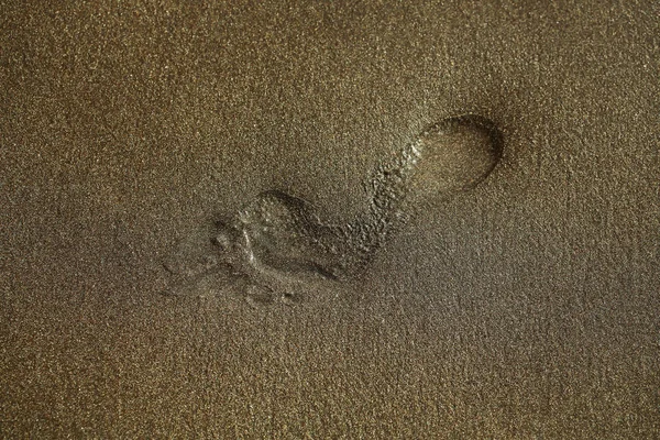 Adult human footprint or foot step on grey sandy beach
