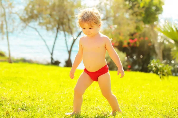 Carino bambino ragazzo passeggiate su verde erba — Foto Stock
