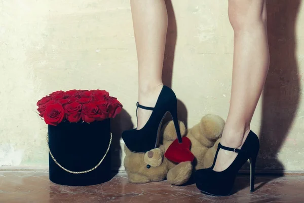 Seksi kadın bacaklar, güzel kırmızı gül kutusu ve ayı — Stok fotoğraf
