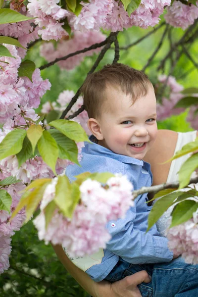 Cute happy boy smiling in mothers arms among blossoming flowers — Stock Photo, Image