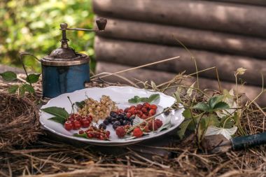 Yeşil yaprakları ve eski Kahve değirmeni ile olgun çilek