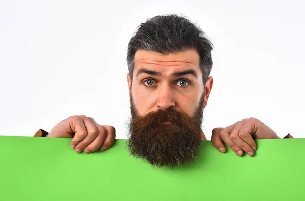 Verbaasd bebaarde man hipster met Groenboek geïsoleerd op wit — Stockfoto