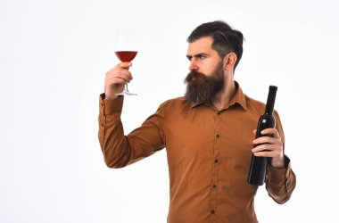 sakallı adam hipster şarap şişesi, kahverengi gömlekli cam ile