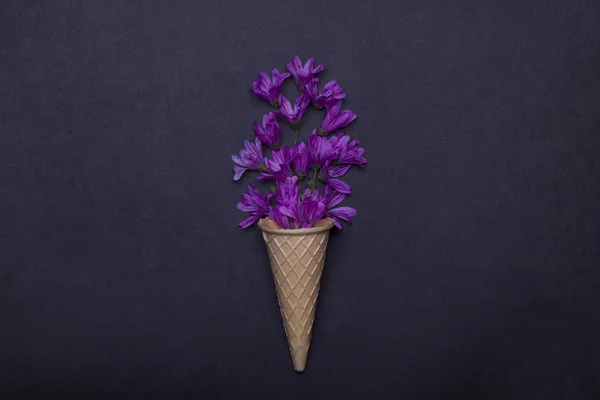 Cialda o cialda cono gelato e viola fiori primaverili — Foto Stock