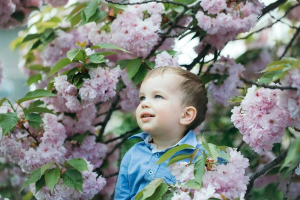 Schattige babyjongen onder roze bloeiende bloemen — Stockfoto