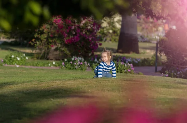 Carino bambino ragazzo giocare su verde erba — Foto Stock
