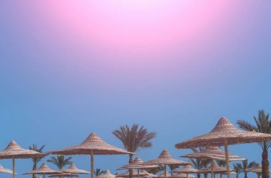 Hasır şemsiyeler ve mavi gökyüzü tropikal yeşil palmiye ağaçlarının