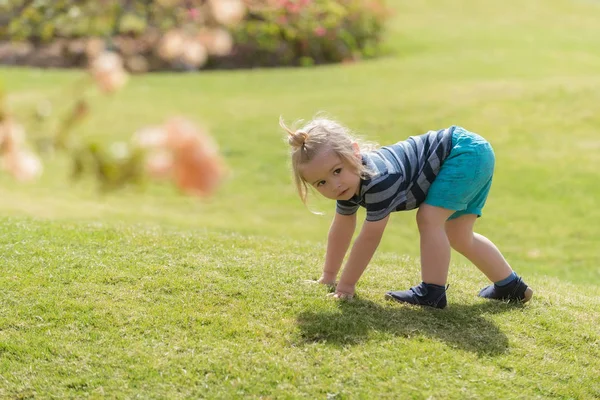 Lindo bebé niño jugando en verde hierba — Foto de Stock