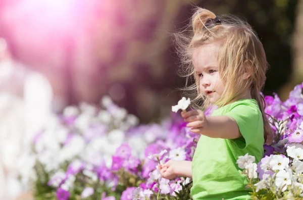 Cute happy baby boy playing at flowerbed with blossoming flowers — Stock Photo, Image