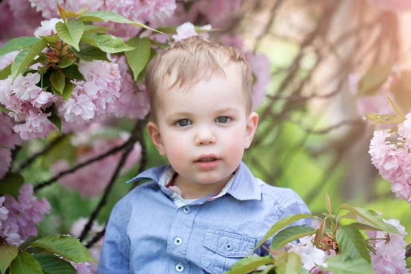 可爱的小宝贝男孩之间粉红盛开的花朵 — 图库照片