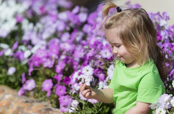 Söt glad baby boy spelar på blomsterrabatt med blommande blommor — Stockfoto