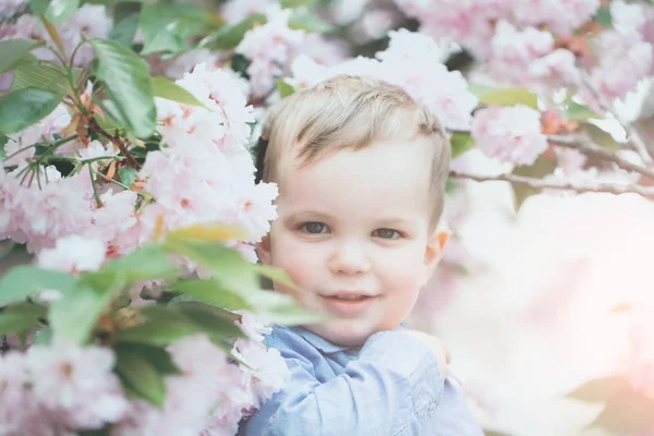Cute baby boy among pink blossoming flowers — Stock Photo, Image