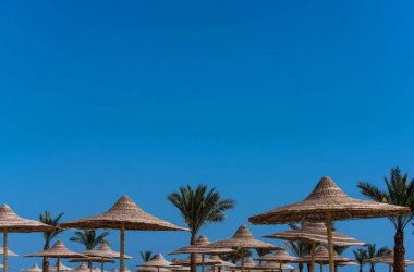 Hasır şemsiyeler ve mavi gökyüzü tropikal yeşil palmiye ağaçlarının