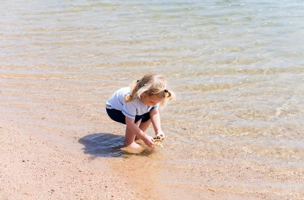 Lindo bebé jugando con concha marina en la playa en el mar — Foto de Stock