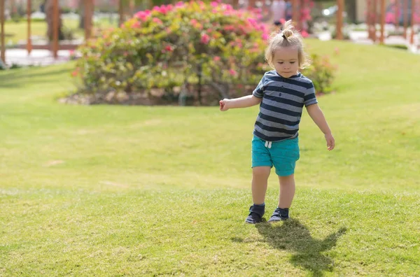 Ładny chłopczyk grający na zielonej trawie — Zdjęcie stockowe