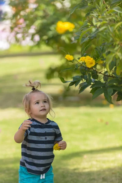 Schattige babyjongen plukken gele bloeiende bloemen uit struiken — Stockfoto