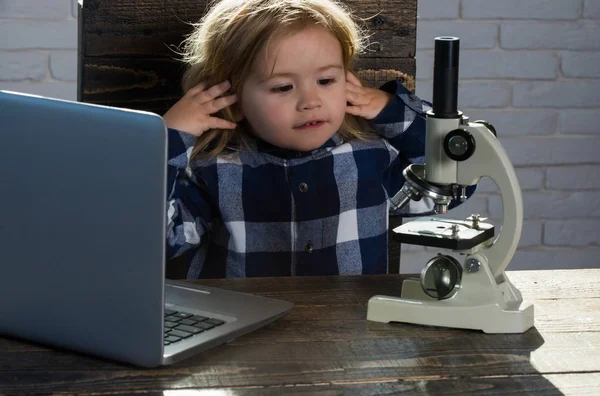 Biología y experimentación, negocios e innovación, educación, experimentación y ciencia — Foto de Stock