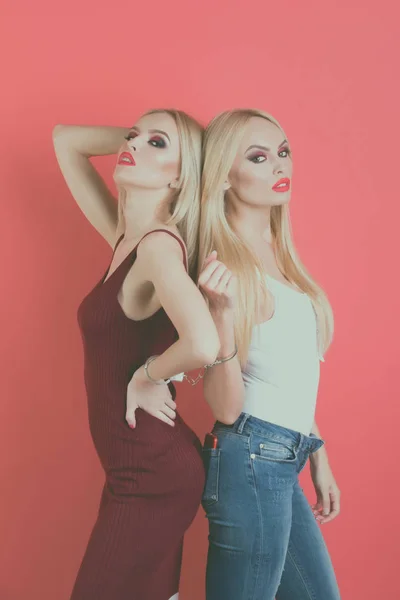 Kvinnor tvillingar, vänner med ljus makeup — Stockfoto