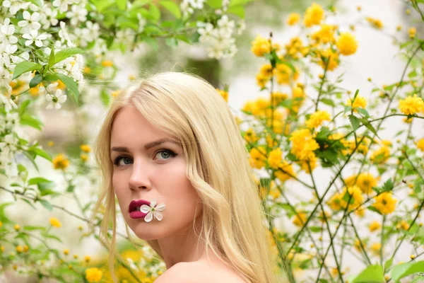 Flicka håll körsbär blomma på blommande träd, vårträdgård — Stockfoto