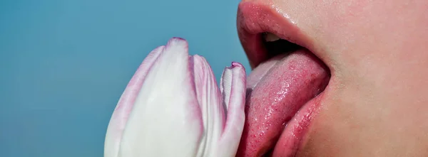 Tongue or woman or girl lick pink flower of tulip — Stock Photo, Image