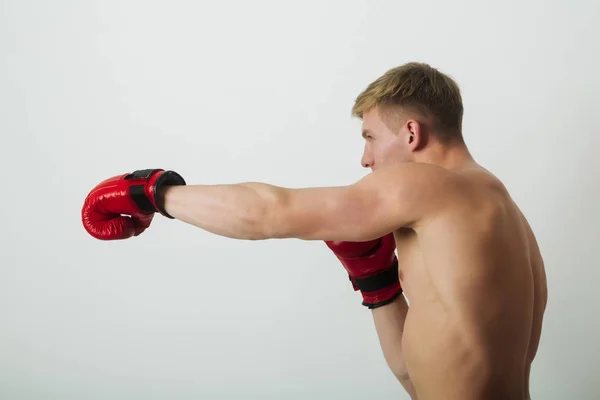 Boxeador, homem, posando em luvas vermelhas em posição de boxe — Fotografia de Stock