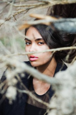 Sevimli kız yapraksız ağaç dallarında gizleme