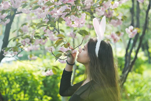 嗅到从树上的樱花的玫瑰色的兔子耳朵的女孩 — 图库照片