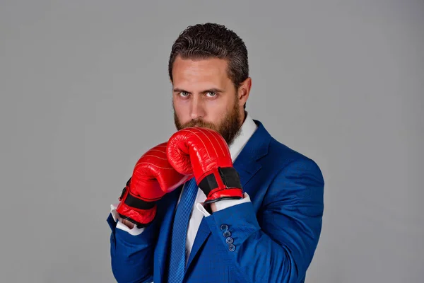 Homem boxer barbudo, homem de negócios em roupa e luvas de boxe vermelho — Fotografia de Stock