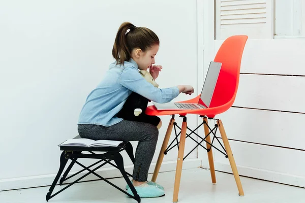 Adorable chica escribiendo en el ordenador portátil con juguete oso de peluche — Foto de Stock