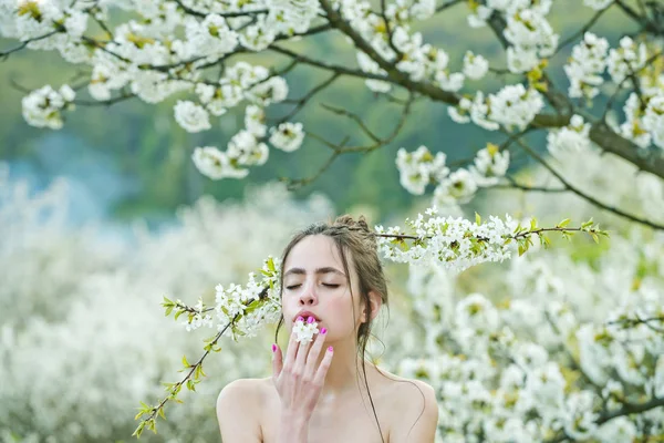 Spring flower in cherry garden with beautiful young girl — Stock Photo, Image