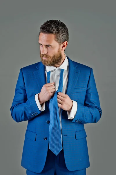 Man, bebaarde knappe zakenman in formele vest, stropdas — Stockfoto
