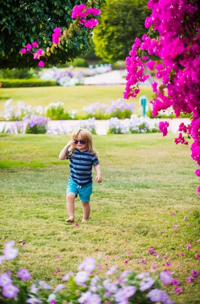 Niño niño en caminar hierba en gafas de verano cerca de flores — Foto de Stock