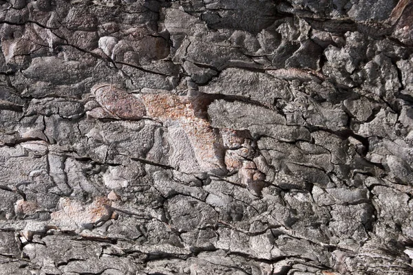 Doğal taş duvar yüzey dokusu — Stok fotoğraf