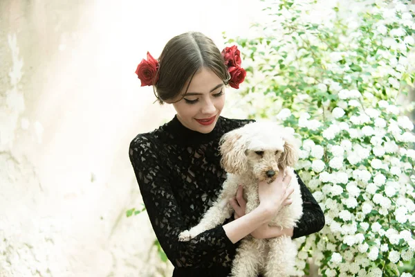 女性はスペイン化粧、髪にバラと犬を保持します。 — ストック写真