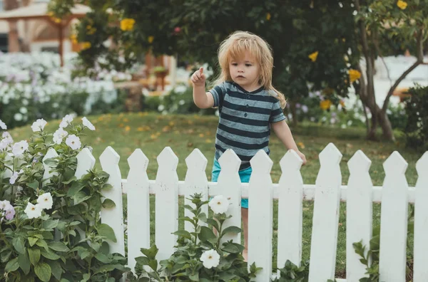 Niño en la valla de madera en la hierba con teléfono móvil — Foto de Stock