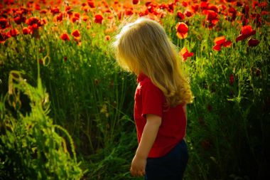 küçük çocuk veya çocuk alanında haşhaş tohumu