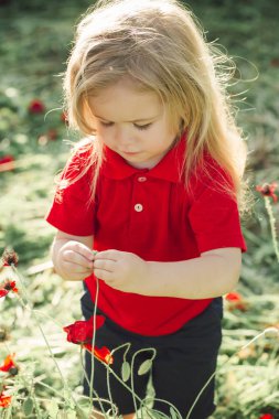 küçük çocuk veya çocuk alanında haşhaş tohumu
