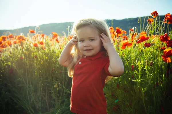 Kid or little boy in field of poppy seed — Stock Photo, Image