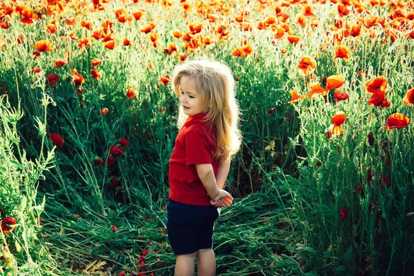 Çocuk veya haşhaş tohumu alanındaki küçük çocuk — Stok fotoğraf