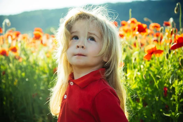 Child or little boy in field of poppy seed — Stock Photo, Image