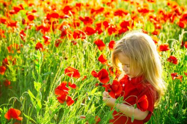çocuk veya haşhaş tohumu alanındaki küçük çocuk