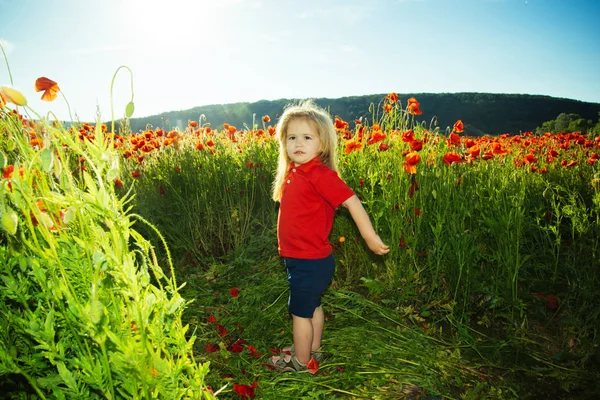 Menino pequeno ou criança no campo de semente de papoula — Fotografia de Stock