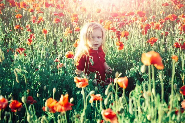 Campo de flor con niño o niño pequeño —  Fotos de Stock