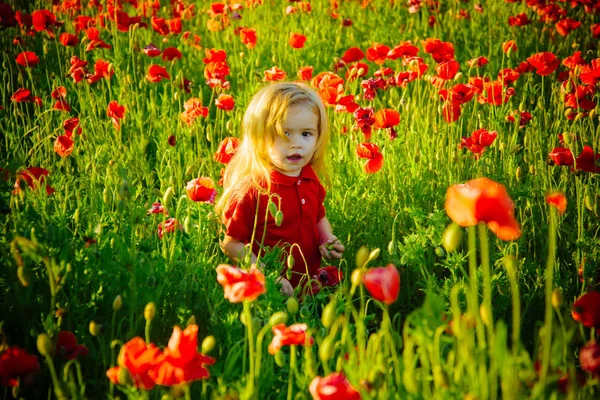 Campo de flor con niño o niño pequeño —  Fotos de Stock