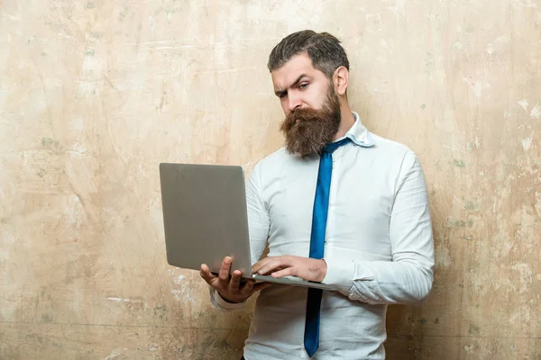 Hombre barbudo o hipster con trabajo de barba larga en el portátil —  Fotos de Stock