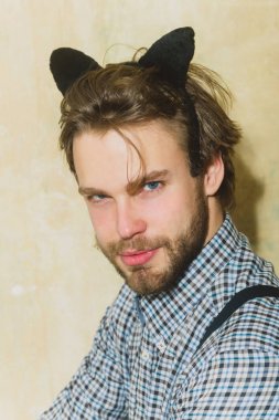 Maço siyah kedi kulak bandı kafasına ile poz