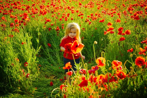 Carino bambino su papavero campo in caldi estati — Foto Stock