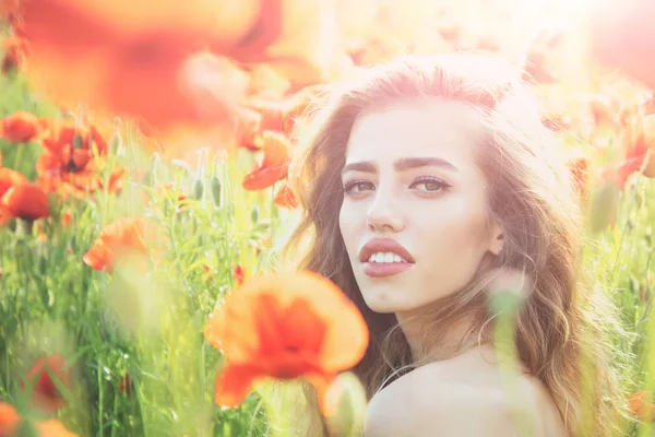 Bonita mujer o niña en el campo de semillas de amapola — Foto de Stock