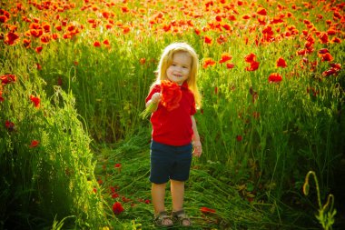 çocuk veya haşhaş tohumu alanındaki küçük çocuk